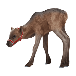Lichtbruin baby rendier